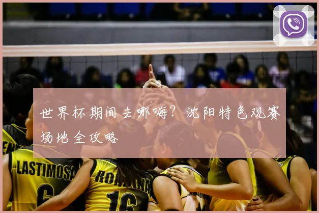 世界杯期间去哪嗨？沈阳特色观赛场地全攻略