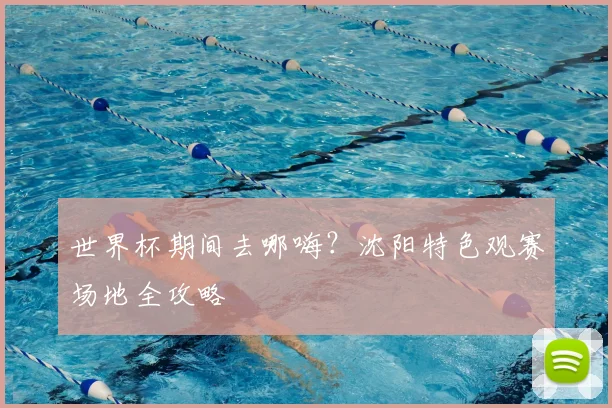 世界杯期间去哪嗨？沈阳特色观赛场地全攻略