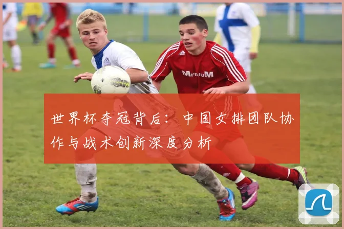 世界杯夺冠背后：中国女排团队协作与战术创新深度分析